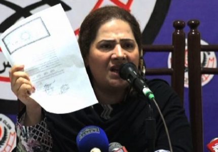 सानिया मिर्जा से पहले हैदराबाद की आयशा से फोन पर निकाह कर चुके थे शोएब मलिक?