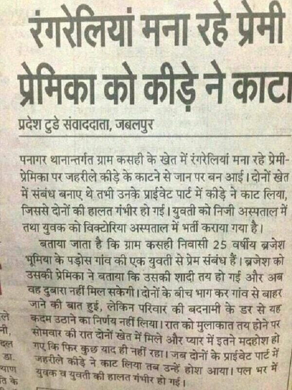 न्यूज़ पेपर के इन होर्डिंग्स को पढ़ कर आपके दिमाग का दही न हो जाए तो कहना