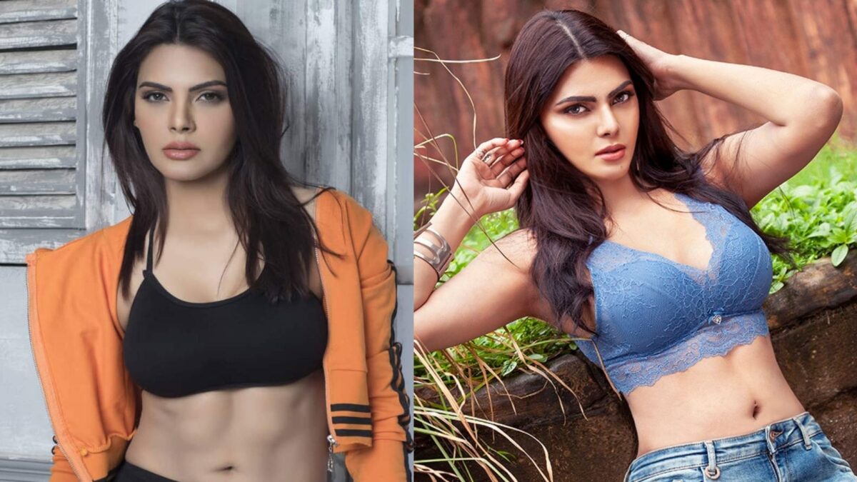 पॉर्न फिल्मों के मामले से चर्चा में आईं शर्लिन चोपड़ा, जानिए कितने करोड़ की संपत्ति की मालकिन हैं एक्ट्रेस