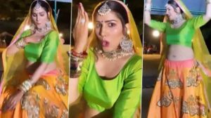 स्टेज पर बोल्ड डांस करते हुए गिरी सपना चौधरी, वीडियो हुई वायरल