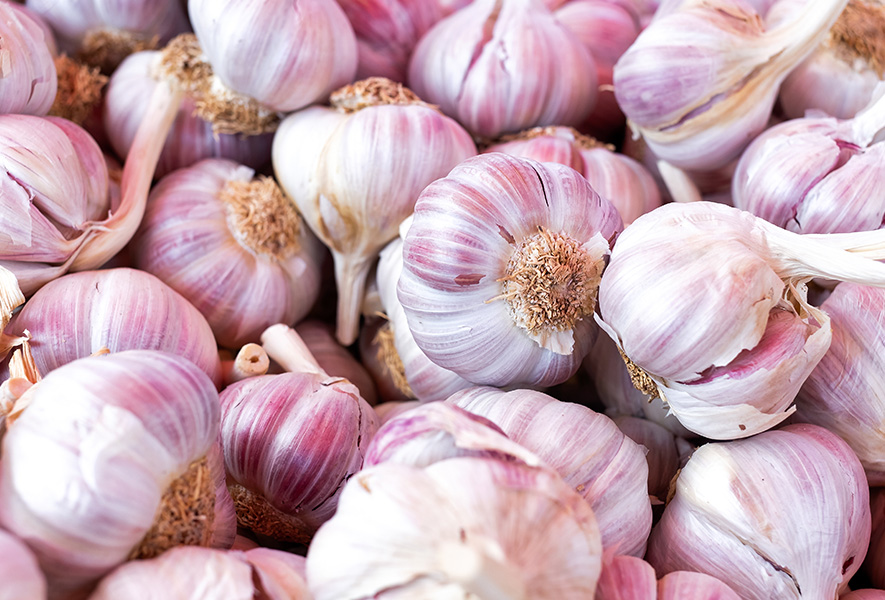 Garlic Price: टमाटर का रेट बढ़ा, लहसुन की कीमत 40 रुपये किलो घटी, जानिए क्या हैं नये भाव