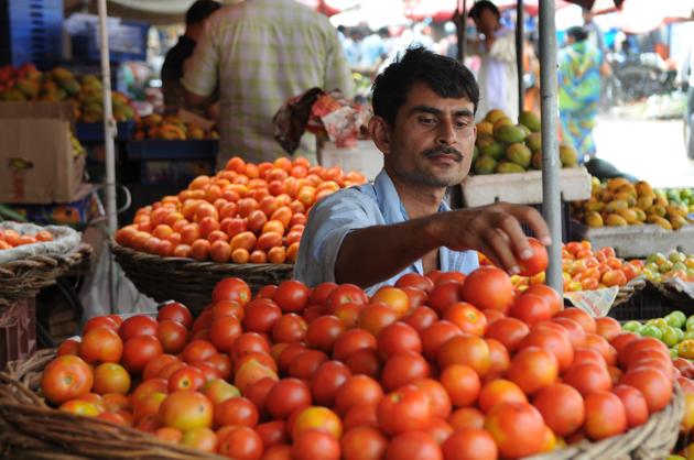 Tomato And Garlic Price: लहसुन की कीमतों में आई गिरावट, नवरात्री के बाद फिर बढ़ने वाली है कीमत, जानिए क्या है नये भाव