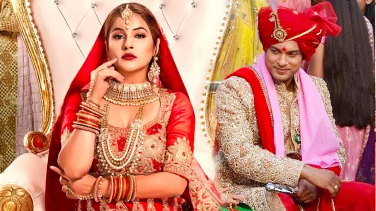 Reports: Omg दिसंबर में शहनाज गिल से शादी करने वाले थे सिद्धार्थ शुक्ला, हो गई थी दोनों की सगाई
