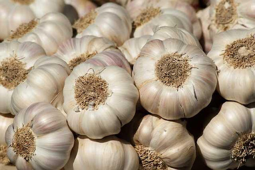 Tomato And Garlic Price: लहसुन की कीमतों में आई गिरावट, नवरात्री के बाद फिर बढ़ने वाली है कीमत, जानिए क्या है नये भाव