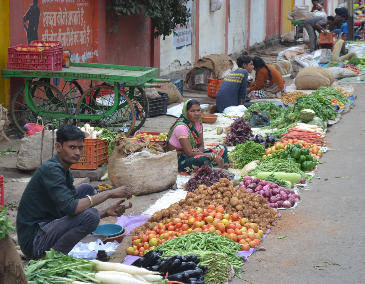 Vegetable Price : लगातार बढ़ रहे सब्जियों के दाम ने बढ़ाई लोगों की चिंता, जानिए क्या है अब नई कीमत