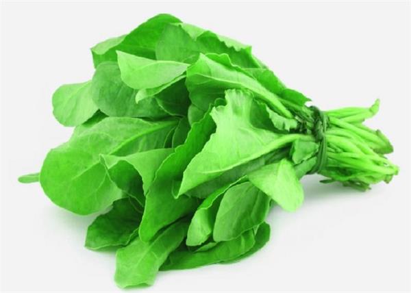 Today Vegetables Price : लगातार बढ़ रहे हरी सब्जियों के दाम से बिगड़ा किचन का बजट, जानिए क्या है नई कीमत