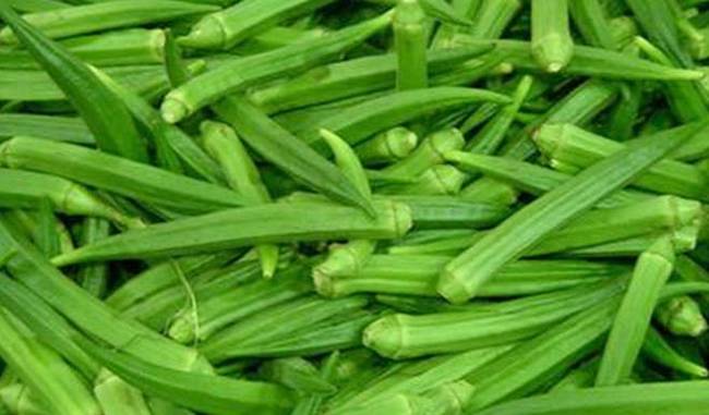 Today Vegetables Price : लगातार बढ़ रहे हरी सब्जियों के दाम से बिगड़ा किचन का बजट, जानिए क्या है नई कीमत