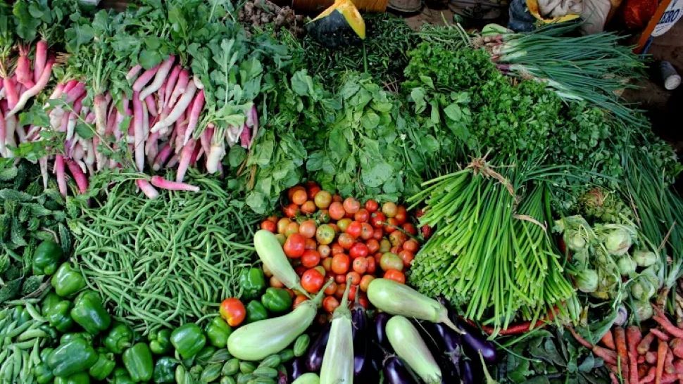 Today Vegetables Price : सब्जियों के दाम में आई गिरावट, जानिए अब कितनी रह गई हैं हरी सब्जियों की कीमत