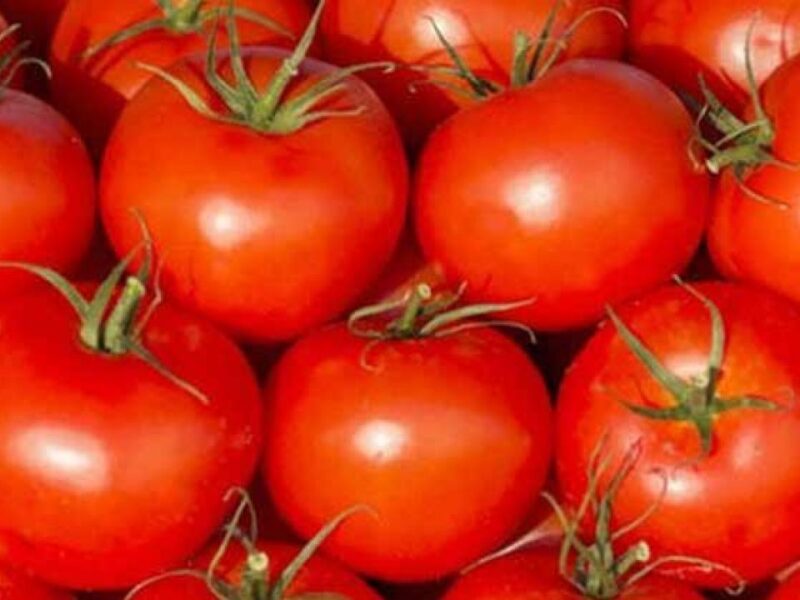 Tomato Price : महंगाई में और लाल हुआ टमाटर, जानिए क्या है अब नई कीमत