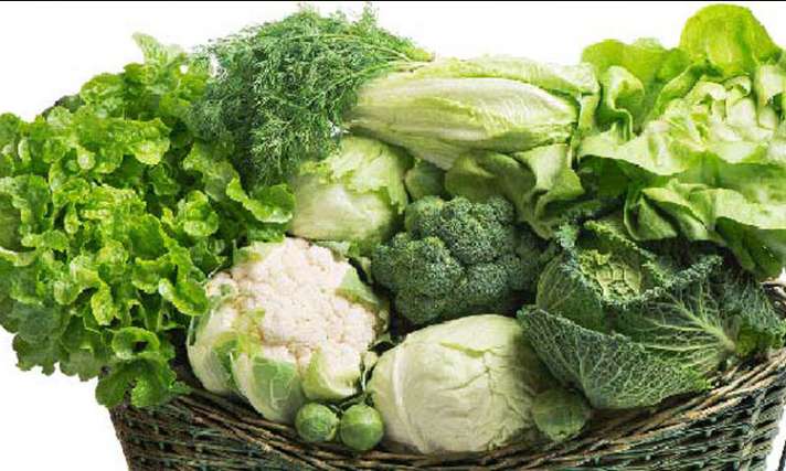 Today Vegetables Price : लगातार बढ़ रहे हरी सब्जियों के दाम से बिगड़ा किचन का बजट, जानिए क्या है नई कीमत