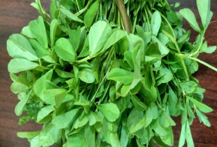 Today Vegetables Price : लगातार बढ़ रहे हरी सब्जियों के दाम से बिगड़ा किचन का बजट, जानिए क्या है नई कीमत