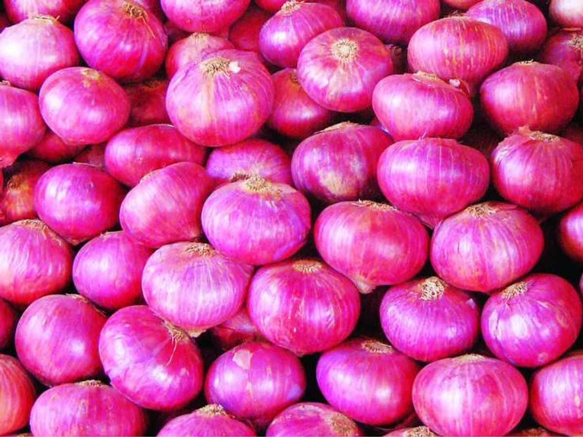 Today Onion Price : प्याज की कीमतों में आई भारी गिरावट, अब मात्र इतने रुपये में मिल रहा 1 किलो प्याज