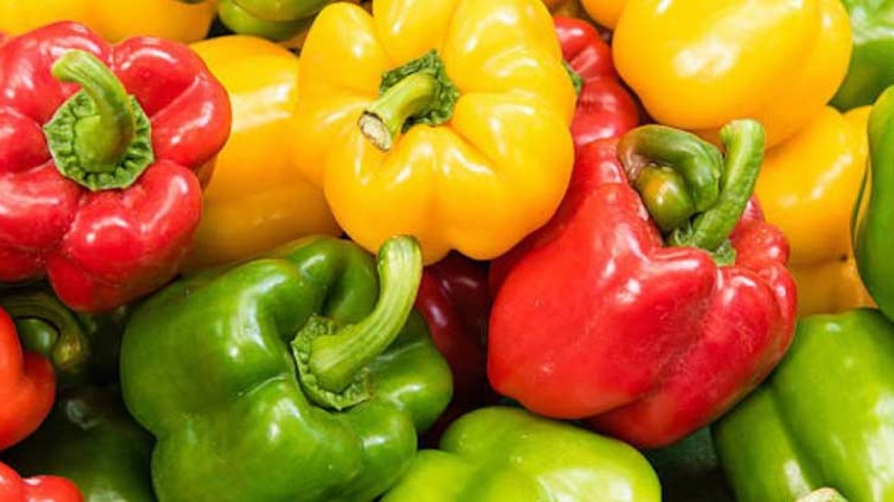 Today Vegetables Price : लोगों की थाली से दूर हो रही हरी सब्जियां, आसमान छू रहे भाव, जानिए नई किमत