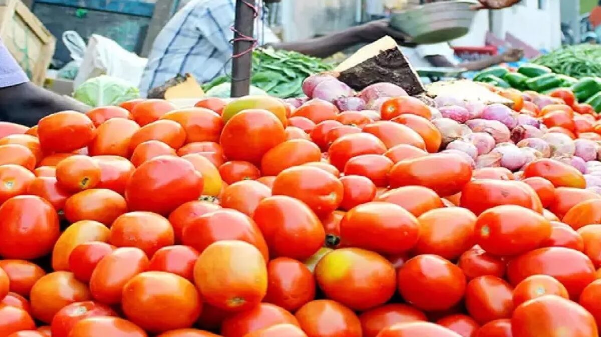 Today Tomato Price : उम्मीद से ज्यादा सस्ता हुआ टमाटर, जानिए अब क्या 1 किलो टमाटर की कीमत