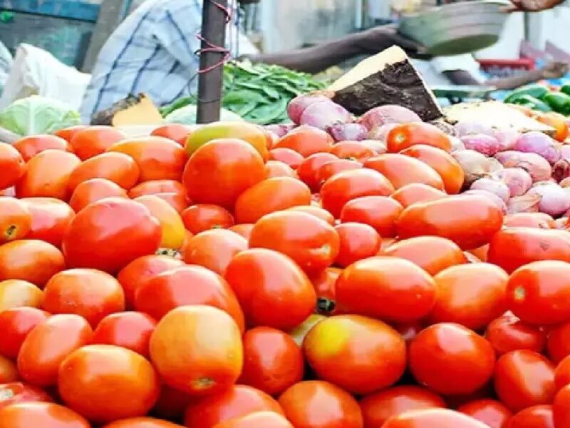 Today Tomato Price : धड़ाम हुआ टमाटर, कीमतों में आई भारी गिरावट, मात्र इतने रुपये में मिल रहा 1 किलो टमाटर