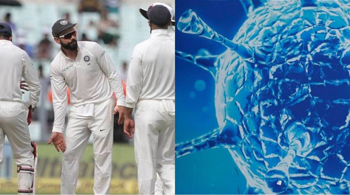 रोहित शर्मा बनेंगे वनडे के कप्तान ? विराट कोहली का भविष्य अगले सात दिनों में तय होगा 2 India-South-Africa-Tour-Corona-Variant