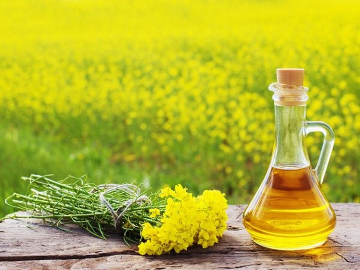 Mustard-Oil-Price-Today-3-April-2022