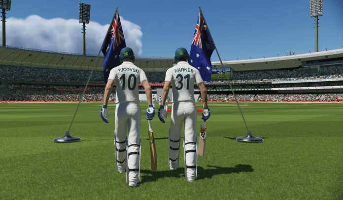 Cricket 22