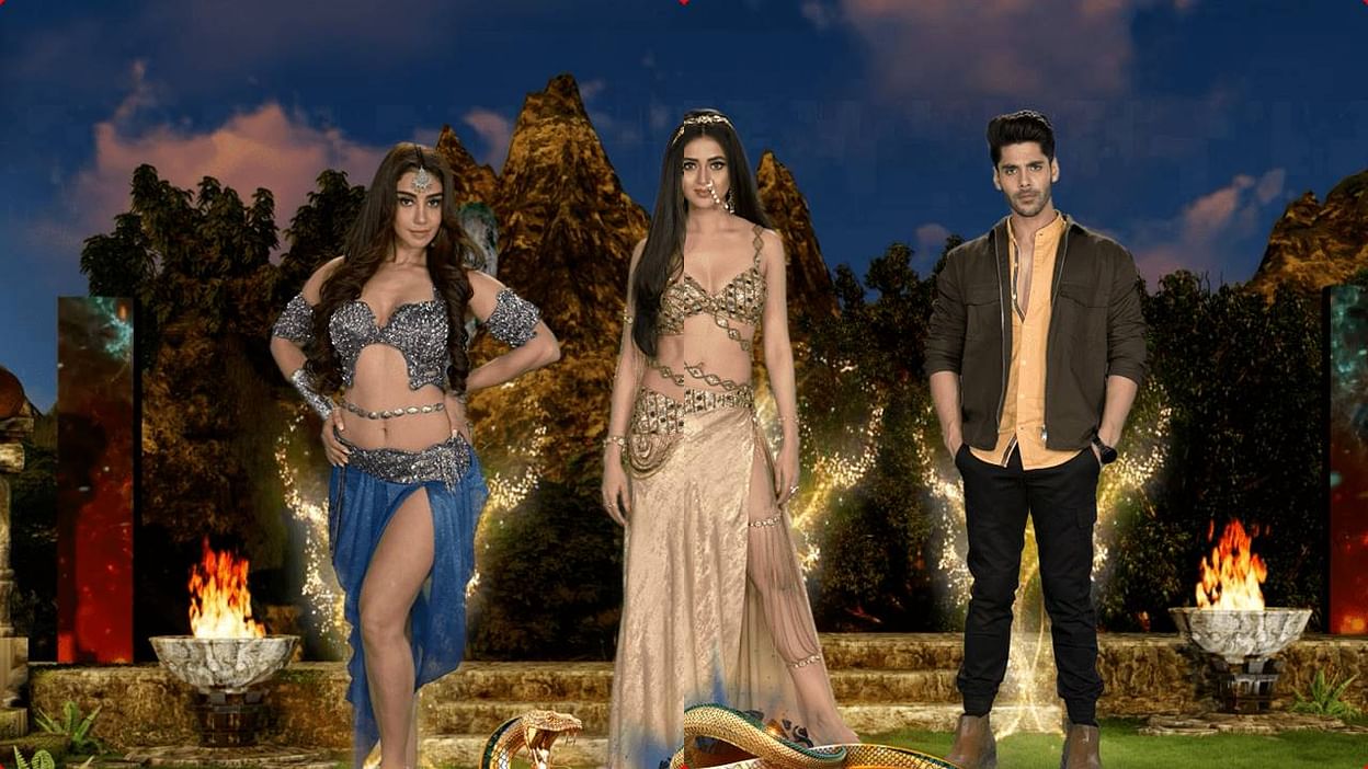 Naagin-6 Artist