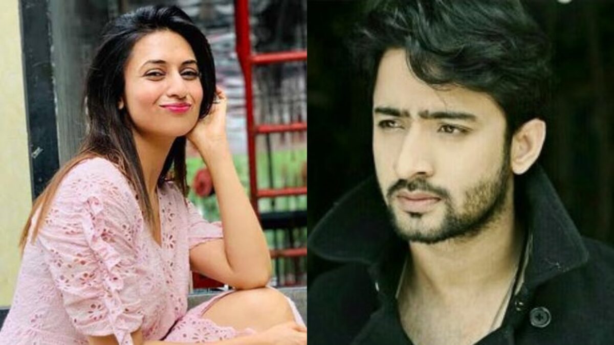 Divyanka Tripathi Shaheer Sheikh