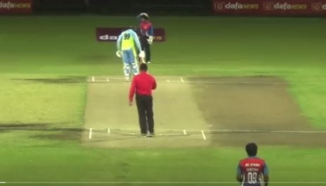 Cricket