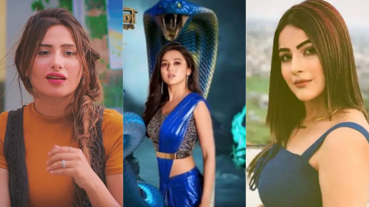 Shahnaz Gill Mahira Sharma Tejasswi Prakash