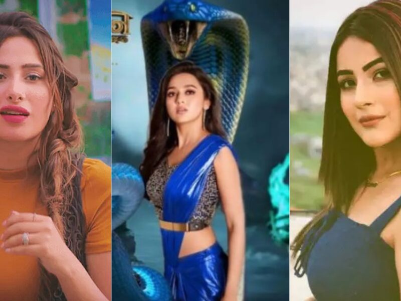 Shahnaz Gill Mahira Sharma Tejasswi Prakash