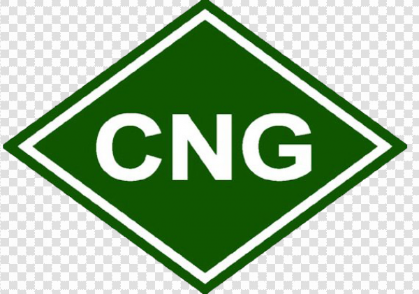 Cng Price Today