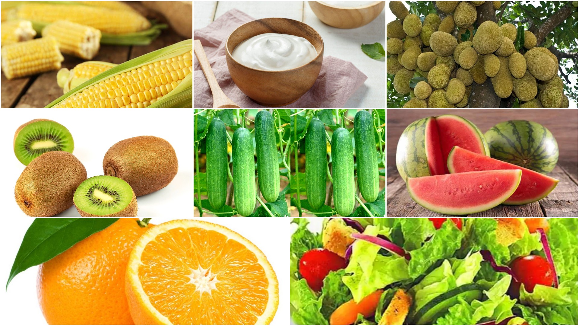 Summer Food