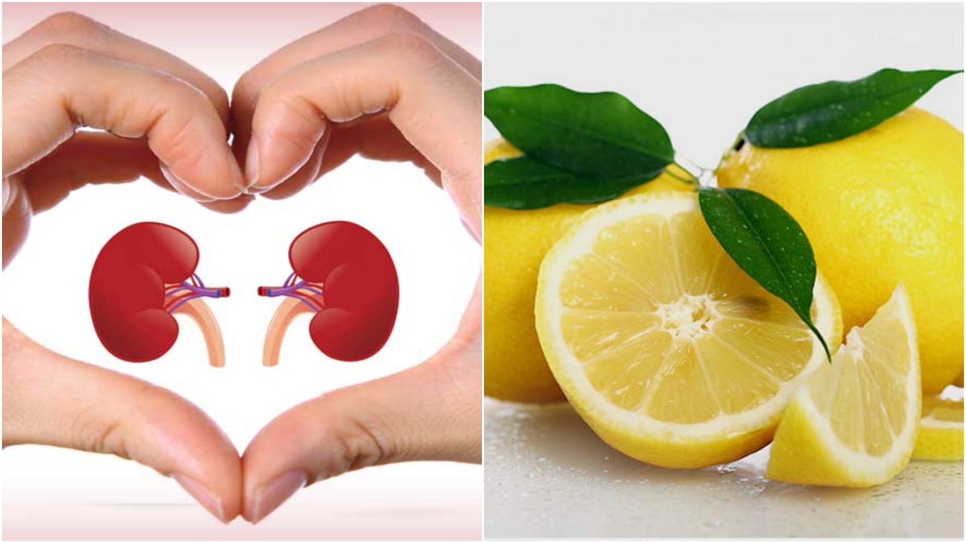 Kidney Health