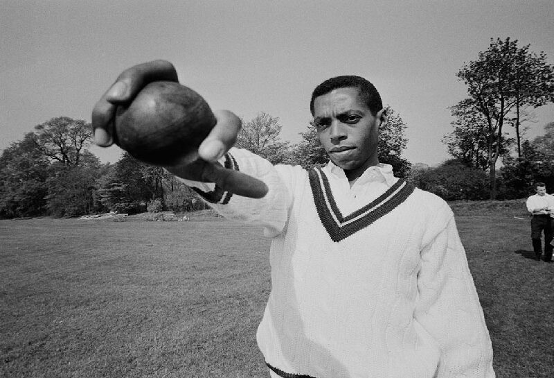 Cricket