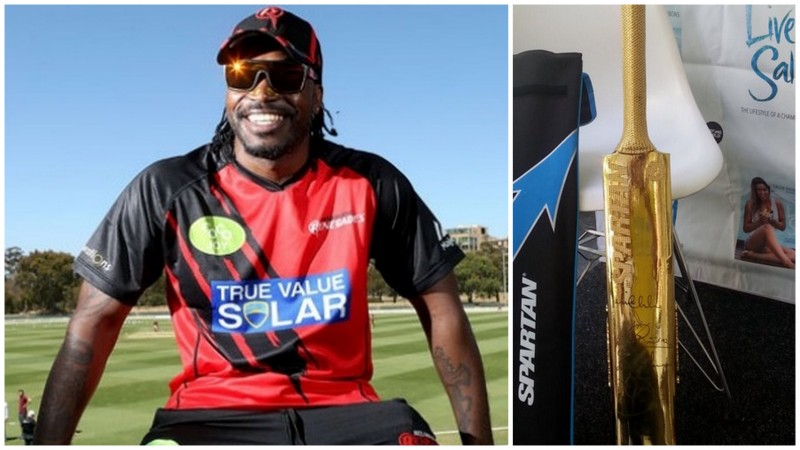 Cricket
