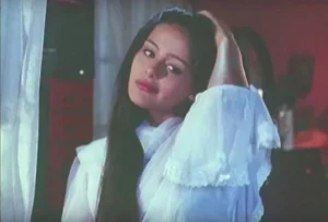 Bolllywood की ऐसी सुपरहिट अभिनेत्रियाँ जो कम समय में ही इंडस्ट्री से गायब हो गई | एक की तो शादी भी युवराज सिंह से होने वाली थी