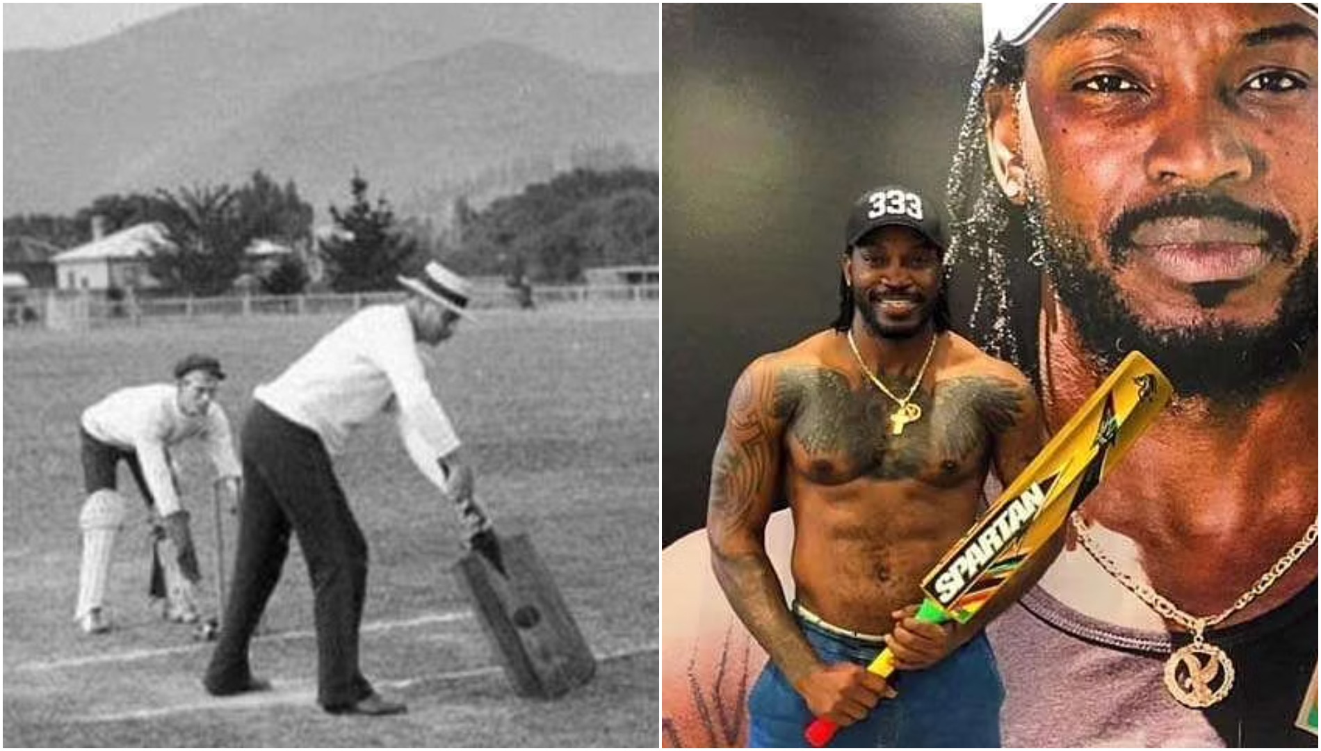 Cricket