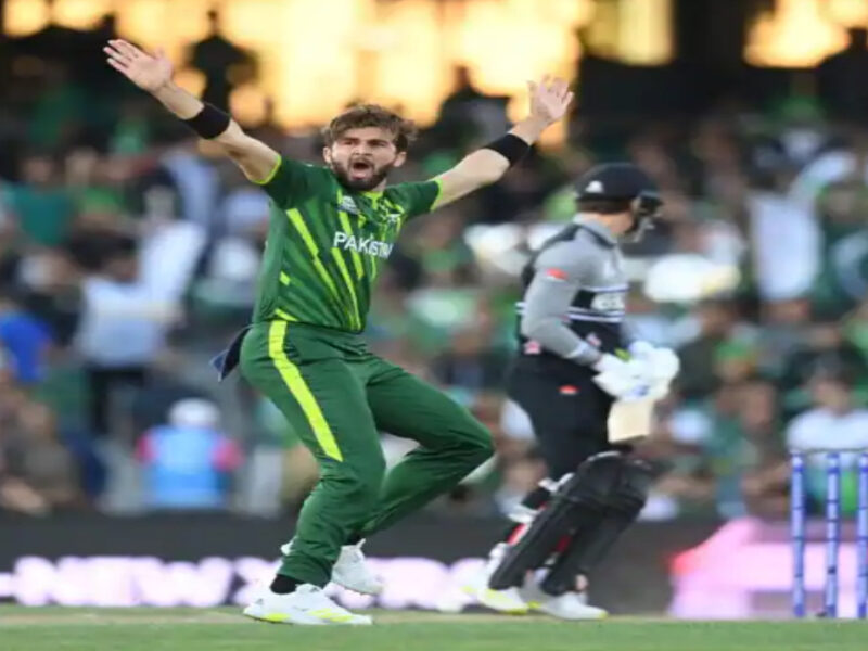 Pak Vs Nz: न्यूज़ीलैंड के खिलाफ शाहीन अफरीदी ने पहले ही ओवर में चटकाए विकेट, टी20 वर्ल्ड कप में तेज गेंदबाजी से किया कमाल