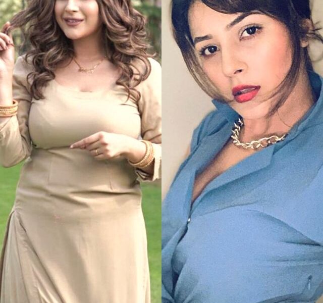 Big Boss Actress, &Quot;Shehnaaz Kaur Gill Fat To Fit Transformation&Quot;, Fat Loss Of Big Boss Celebrity