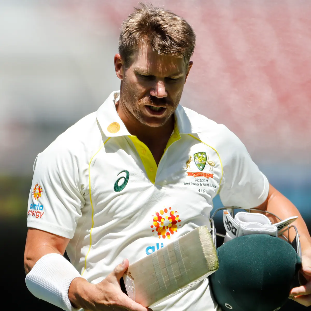 ऑस्ट्रेलियन टीम मैनेजमेंट से निराश David Warner ने दिए संन्यास लेने के संकेत