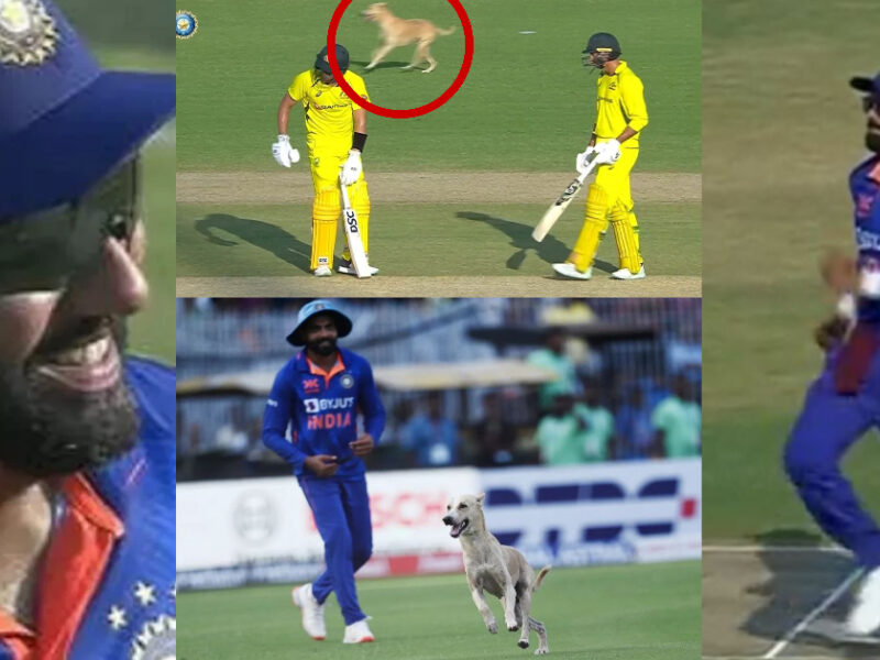 Video: लाइव मैच में घुसे कुत्ते को पकड़ने के लिए जड्डू ने मैदान में लगाई दौड़, तो रोहित-विराट ने उड़ाई खिल्ली