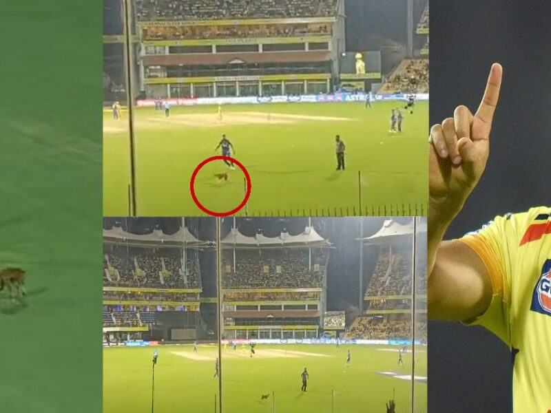 Video: मैच में हुई देरी, स्टेडिटम में घुसा कुत्ता,Csk-लखनऊ के खिलाड़ियों का पकड़ने में छूटा पसीना, तो धोनी ने दिया मज़ेदार रिएक्शन