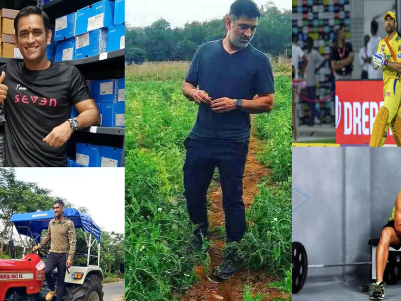क्रिकेट के साथ कारोबार में भी नंबर 1 हैं Ms Dhoni, कपड़ों से लेकर पौधे उगाने तक का काम संभालते हैं माही 
