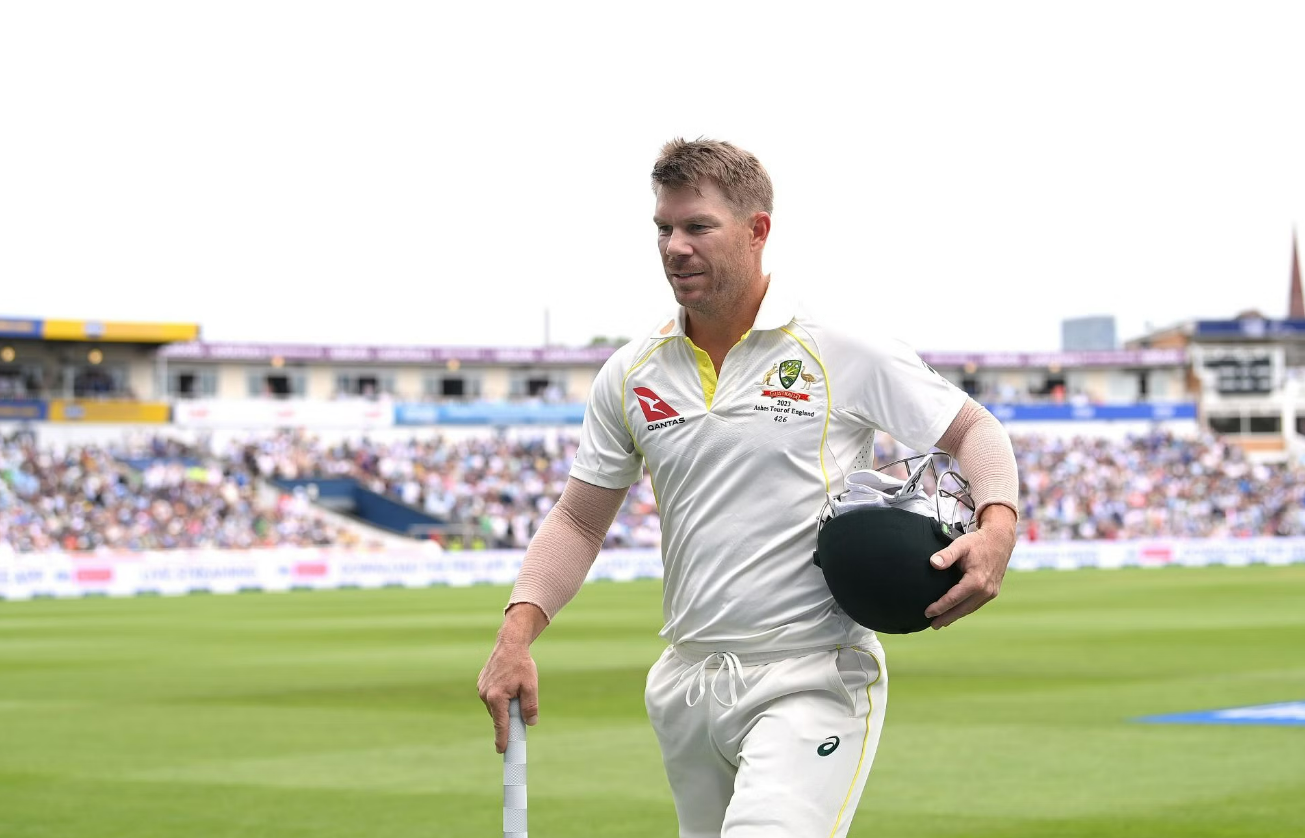 David Warner Virender Sehwag