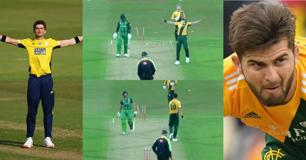 Shaheen Afridi Uprooted Stump By Taking Two Wickets In 2 Balls, Video Went Viral