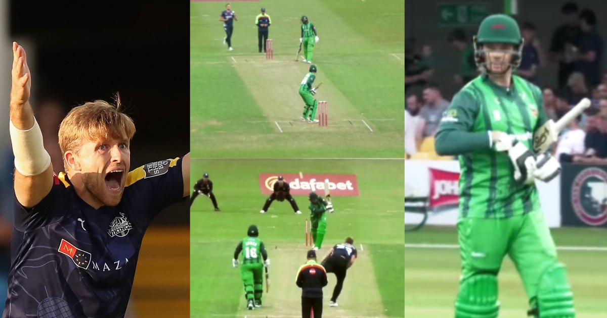 Vitality Blast David Willey Dangerous Yorker Clean Bowled Peter Handscomb T20 Blast