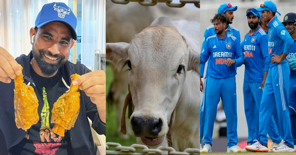 Despite Being A Hindu, These 3 Players Of Team India Eat Beef