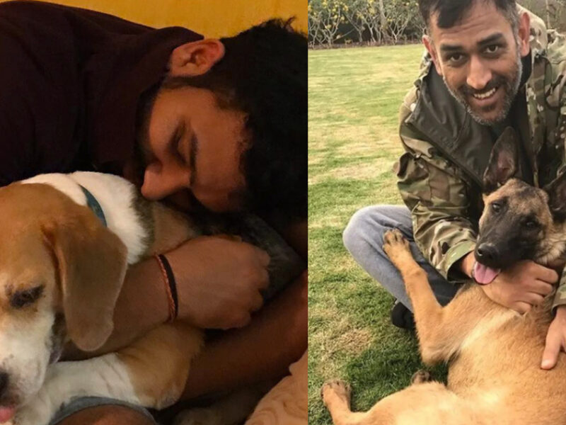 Team India'S 5 Players Who Are Very Fond Of Dogs