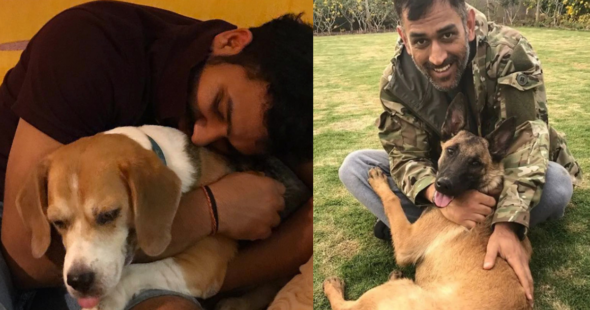 Team India'S 5 Players Who Are Very Fond Of Dogs