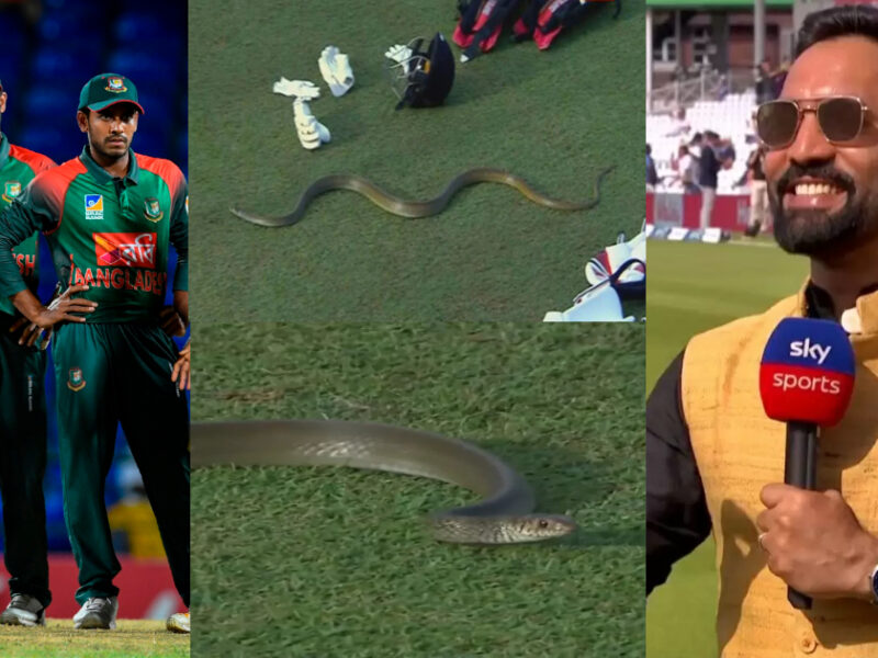 Snake Came Out On The Field In Live Match, Dinesh Karthik Made Fun Of Bangladesh