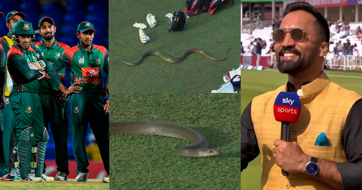 Snake Came Out On The Field In Live Match, Dinesh Karthik Made Fun Of Bangladesh