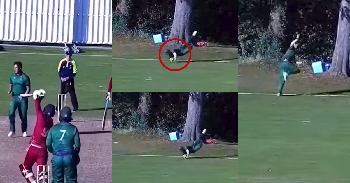 The Fielder Of The Cricket World Took A Surprising Catch, The Video Went Viral