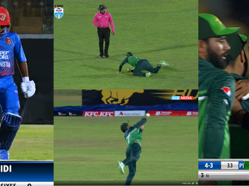 Shadab Khan Took A Surprising Catch, Video Went Viral